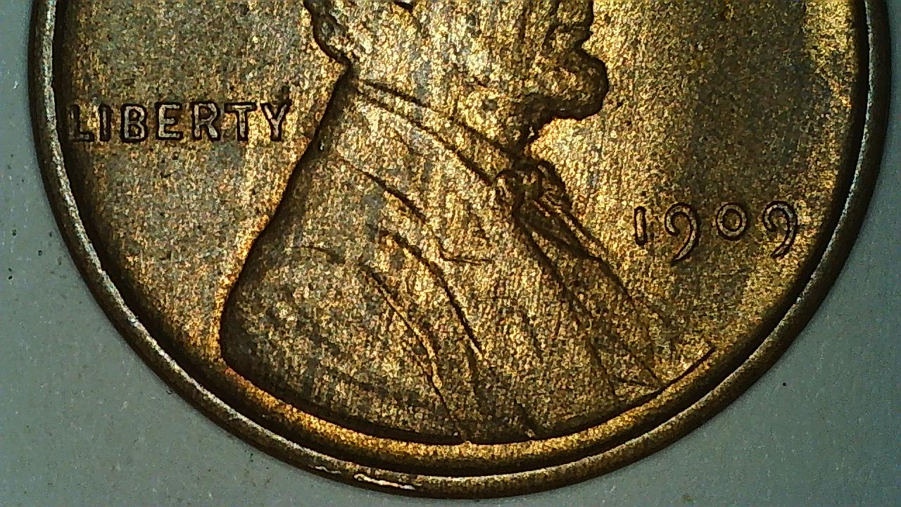 1909-P-VDB-Proof---Do-You-See-What-I-See?