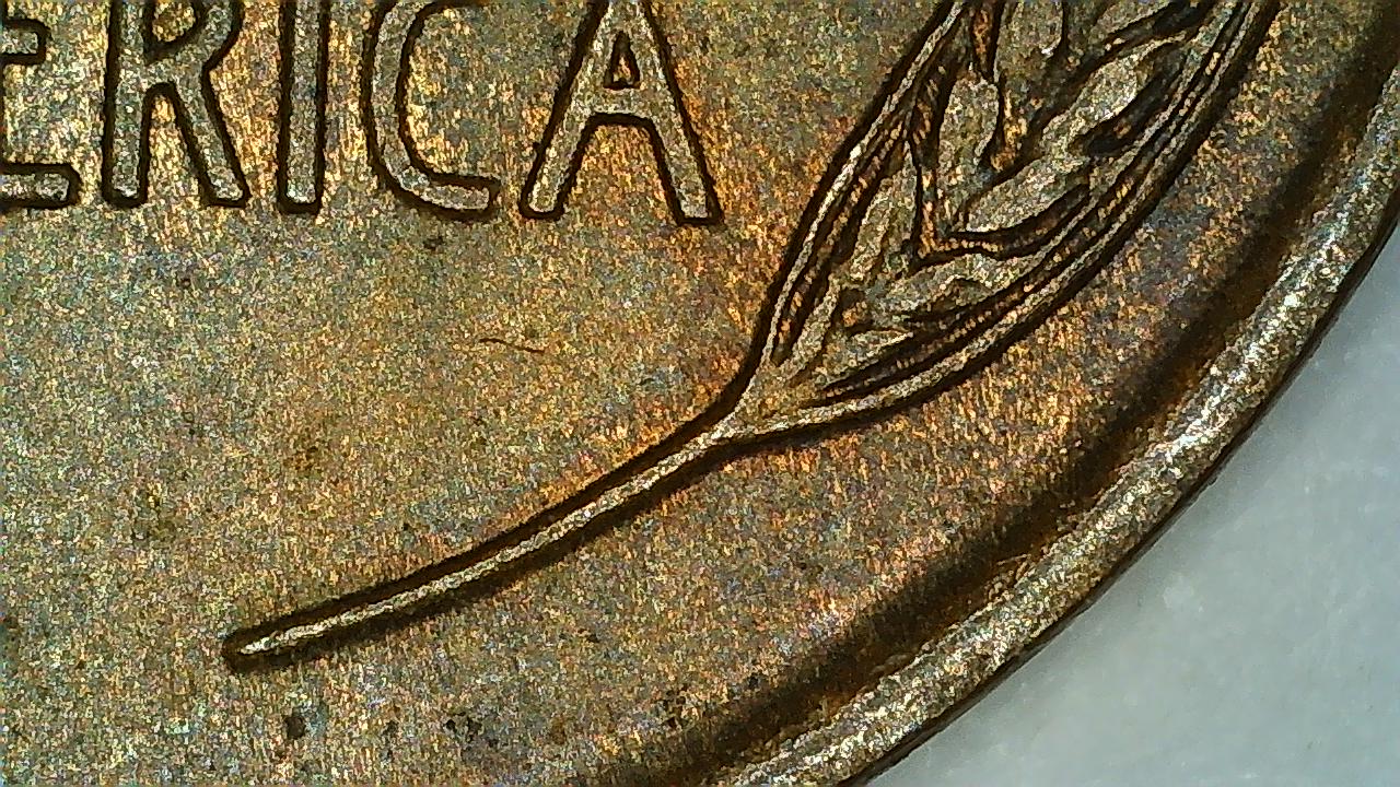 1909-P-VDB-Proof---Do-You-See-What-I-See?