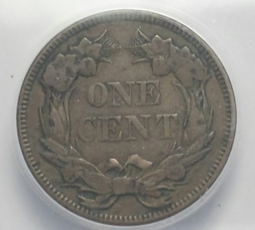1857-Fe-Cent-You-Vs.-ANACS
