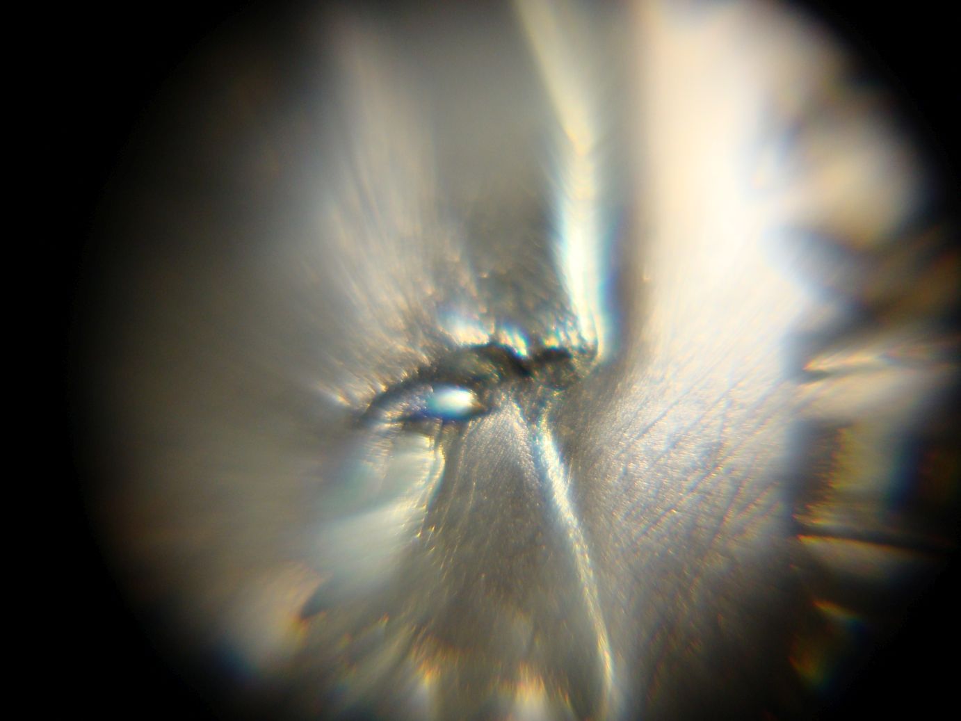 1964-D-Dime-Error,-Unknown-Or-Common?