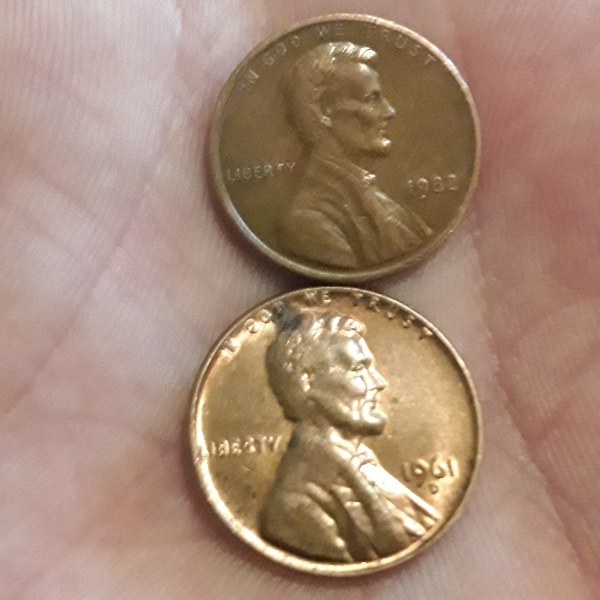 1961-D-1c-Error-Please-Help-Identify