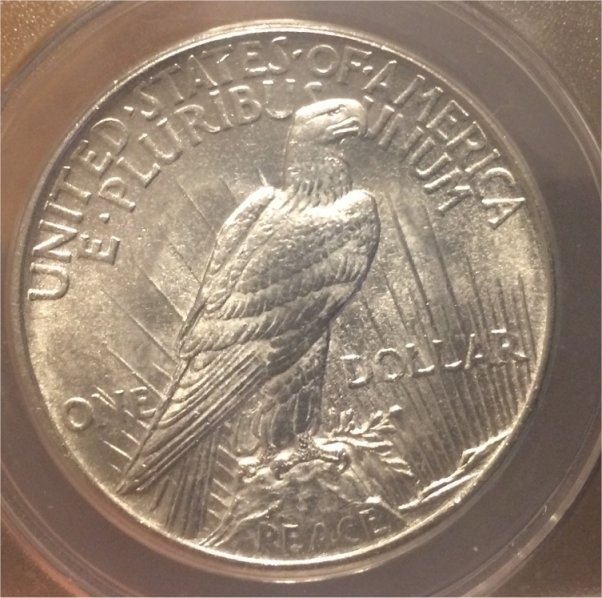 Confused-By-Grading-On-This-1921-Peace-Dollar
