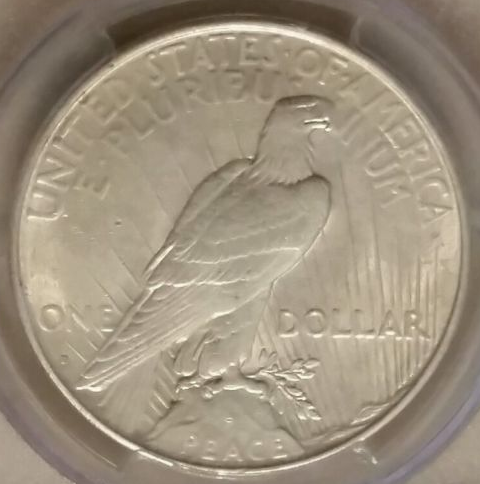 Did-I-Miss-Something-With-My-Latest-Peace-Dollar-Purchase?