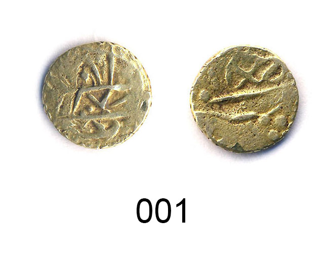 Unidentified-Indian-Coins.