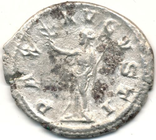 Help-Needed-For-ID-And-Authentic?