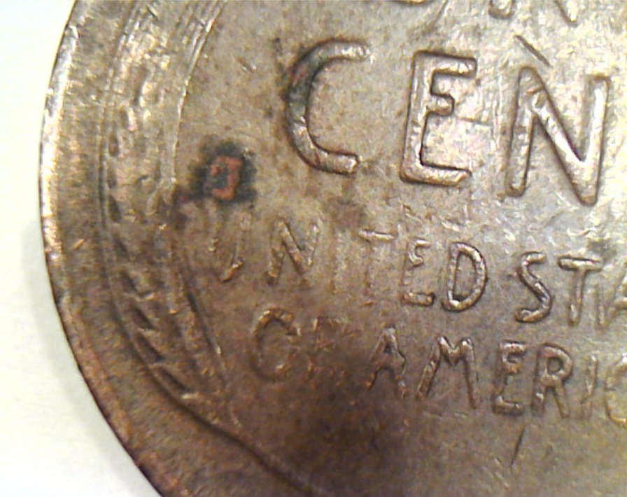 1954-S-Wheat-Penny-D-On-The-Back