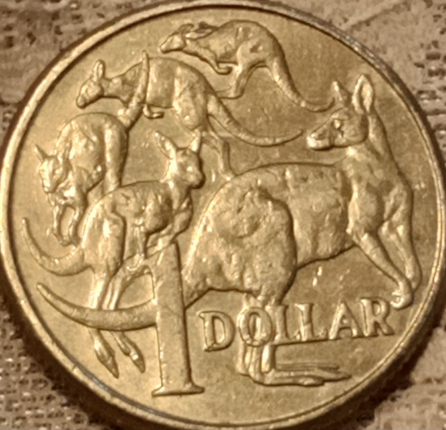 2010-$1-Mob-Of-Roos-Error