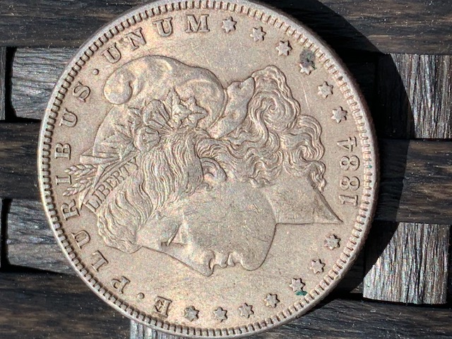 1884-P-Morgan-Worth-Grading?
