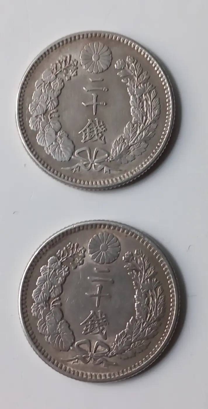 Continuing-List-To-Show-Everyones-Latest-Acquisitions