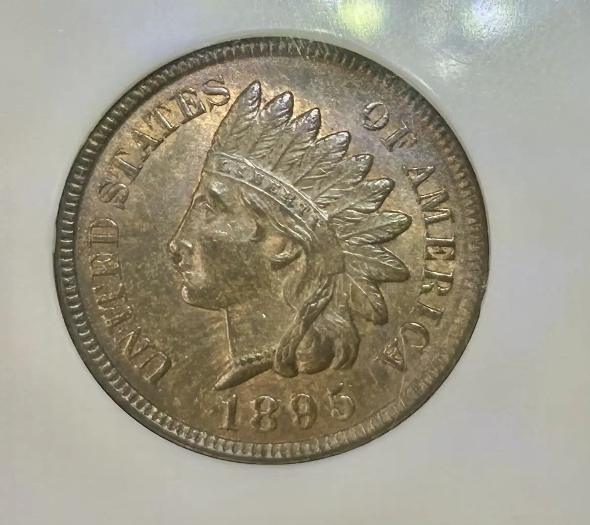 1895-Indian-Head---Thoughts-On-A-Grade?