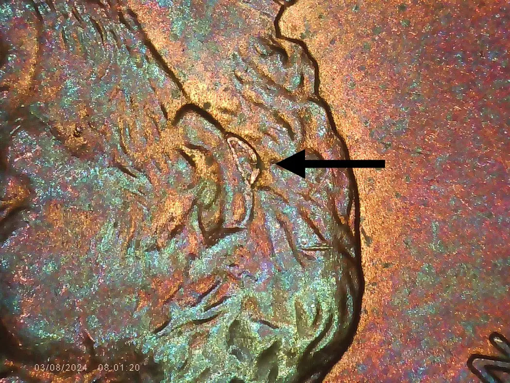 1993-D-LMC---Weird-PMD-Or?