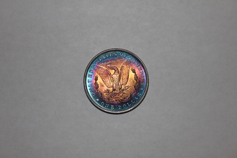 Monster-Toned-1885-Morgan-Dollar,-Thoughts?