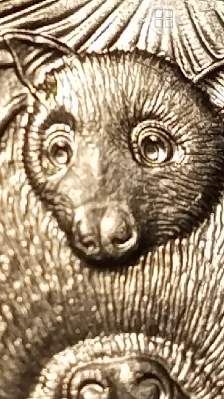 2020-Bat-Quarters--P-And-D-Mint-Errors?