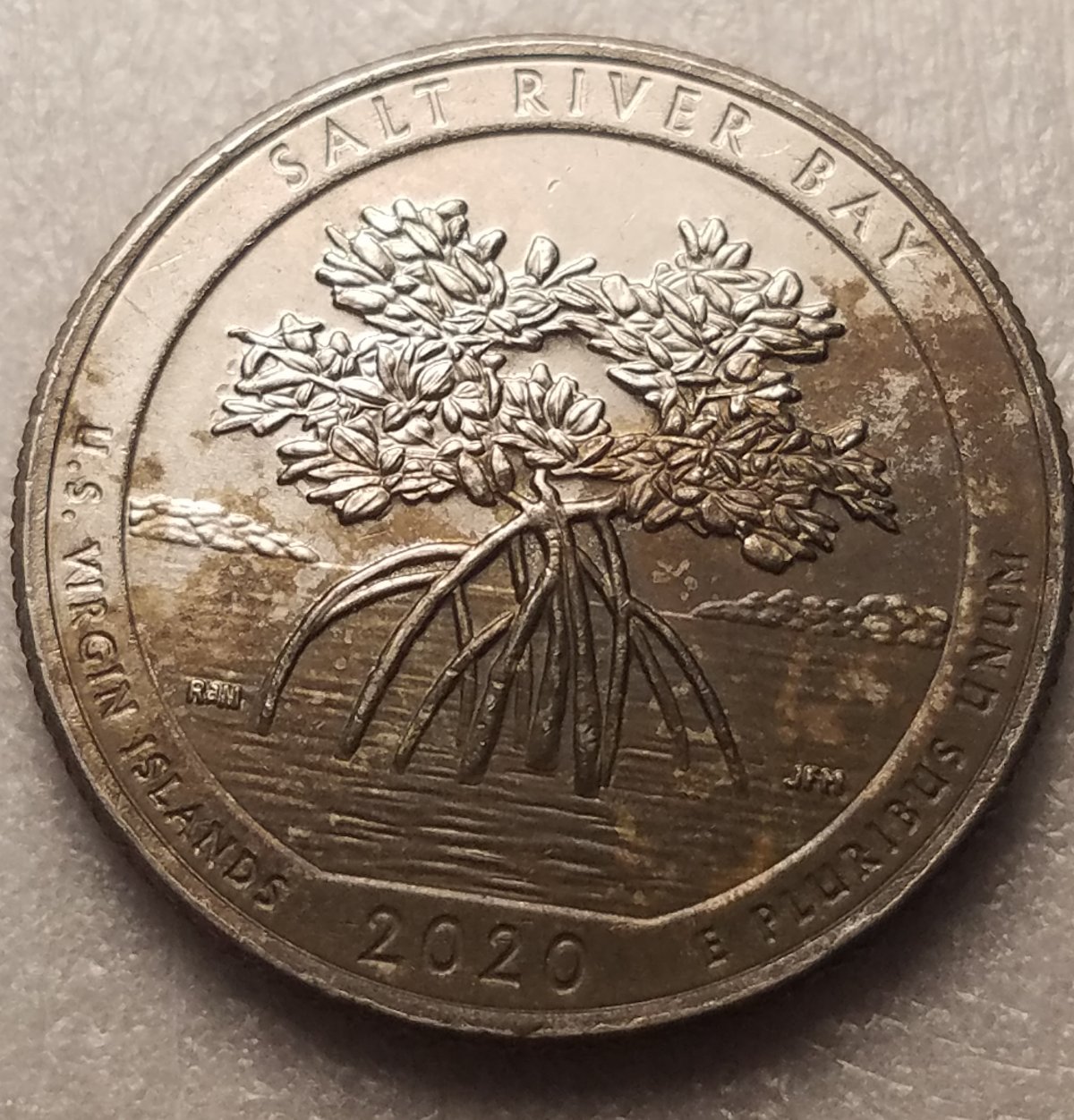 2020-Salt-River-Bay-Quarters