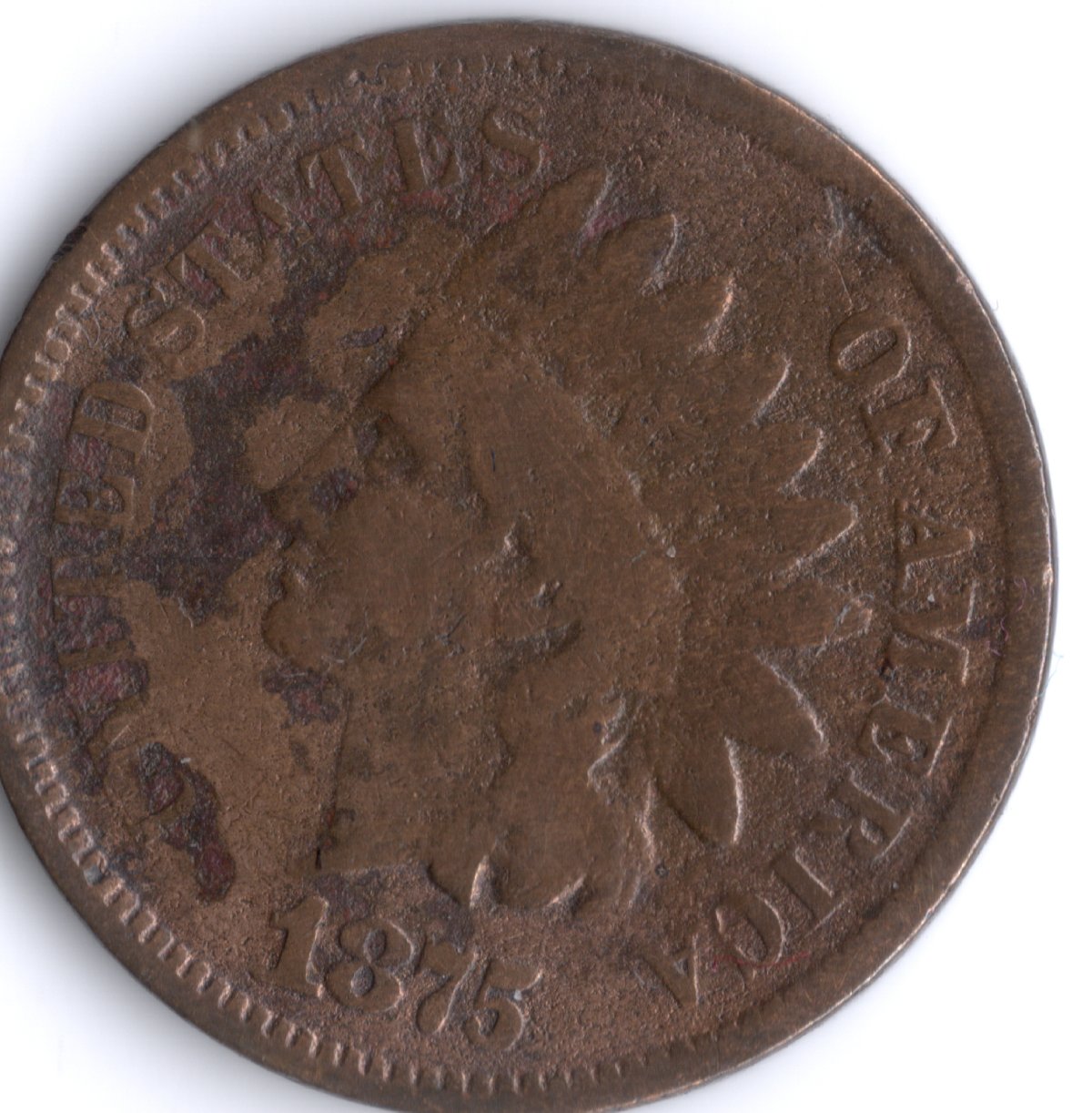 Recent-Indian-Head-Cents-Purchased