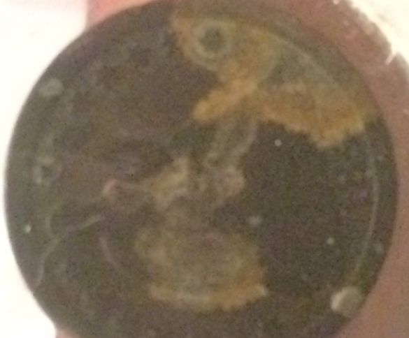 1847-Half-Dime-Error?