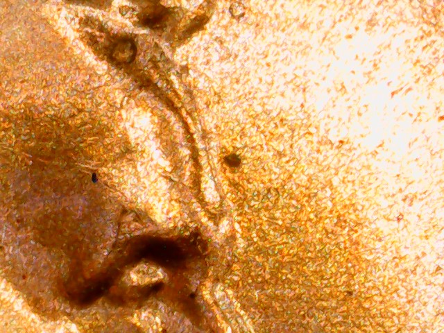 2022-D-Mint-Lincoln-Memorial-Cent-DDO-DDR
