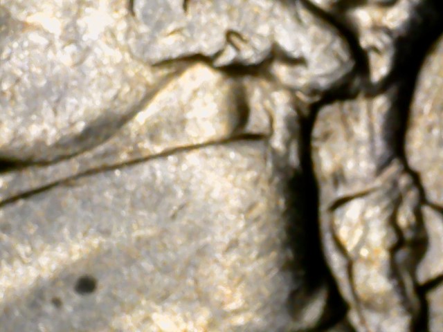 1983-D-Nickel-Multiple-Errors