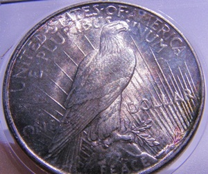 Are-There-Any-Other-Peace-Dollar-Fans-Here?