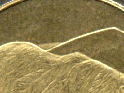 Extra-Mountain-Behind-Bear-Of-Twoonie