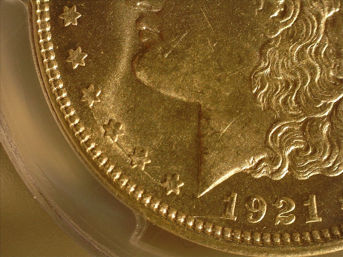 1921-D-Morgan-VAM-1cl-?