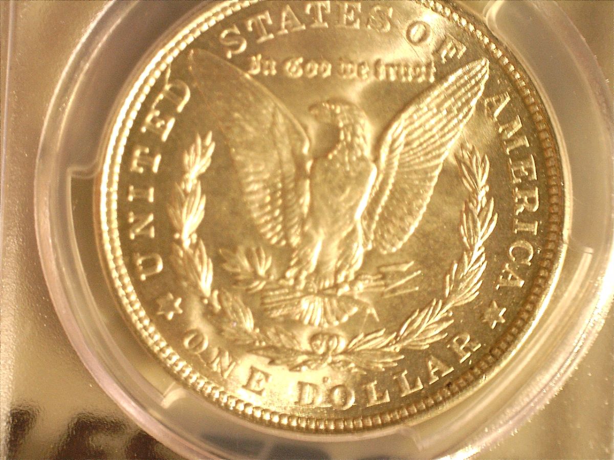 1921-D-Morgan-VAM-1cl-?
