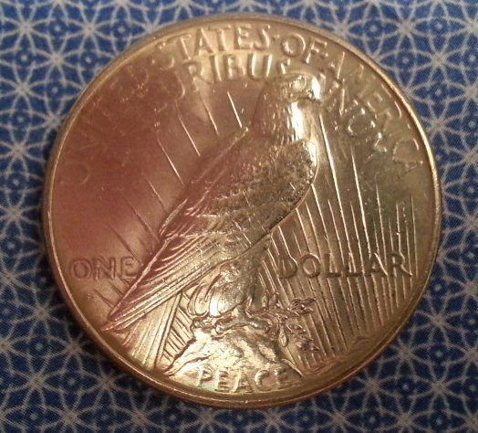 My-First-Peace-Dollar!