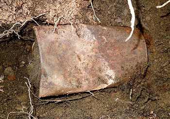 How-Did-The-Saddle-Ridge-Hoard-Stay-Preserved?
