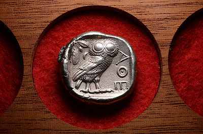 Anyone-Have-A-World-Coin-Animal-Set?