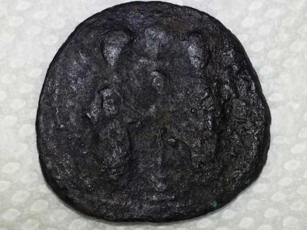 ID-Help-On-A-Big-Old-Ancient...?