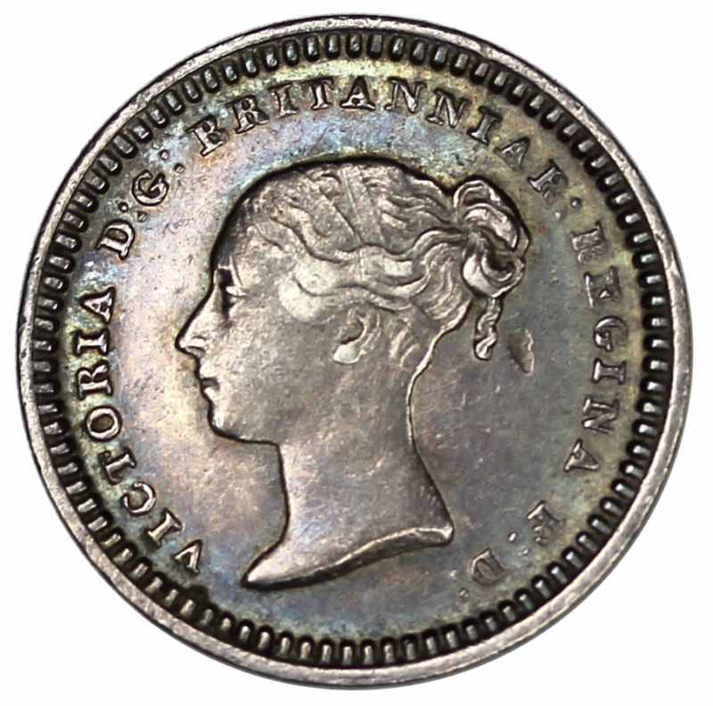 What-Do-You-Think-Of-My-Pretty-Women-Coin-Collecting?