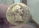 Roman-Coin-Value-Any-Thoughts