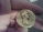 Roman-Coin-Value-Any-Thoughts