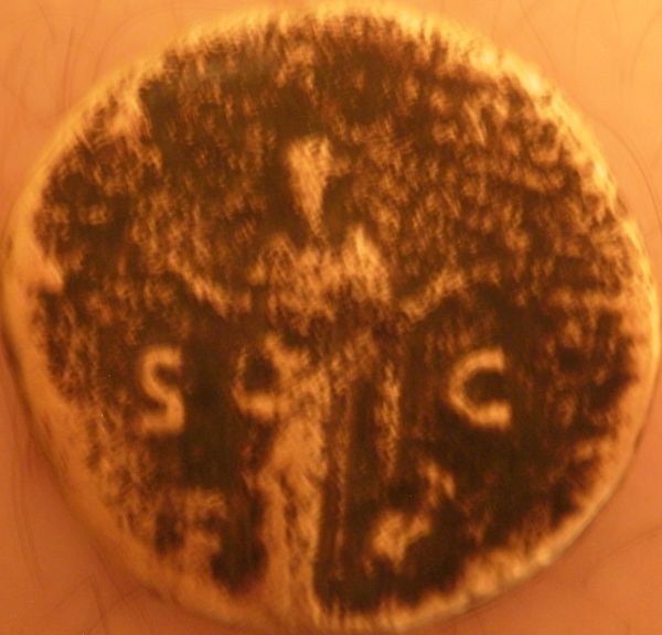 Roman-Coin-Need-Help