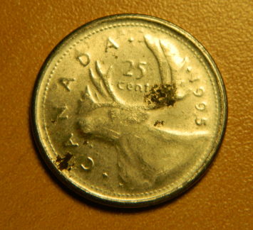 What-Happened-To-This-1995-Quarter?