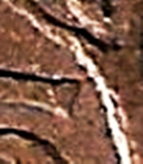 1965-Penny-With-A-Curve-In-The-5.-Mint-Error?