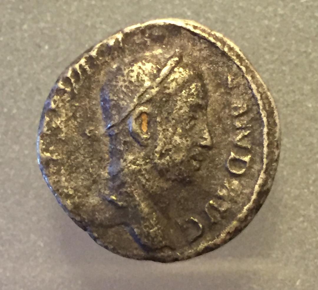 Ancient-Identification-Help-Please