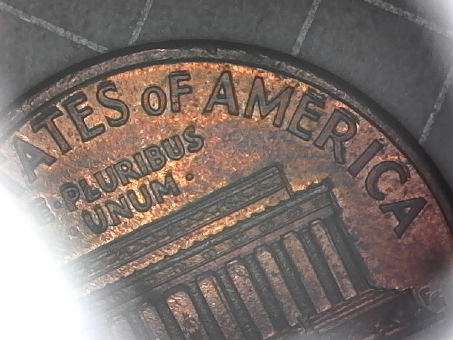Die-Deteration,-Split-Rim,-Or-MD?