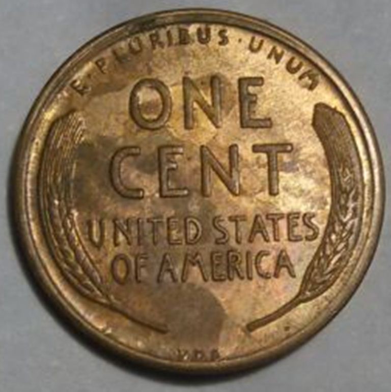 1909-S-VDB-Found-In-A-Roll,-But-It-Might-Be-Fake