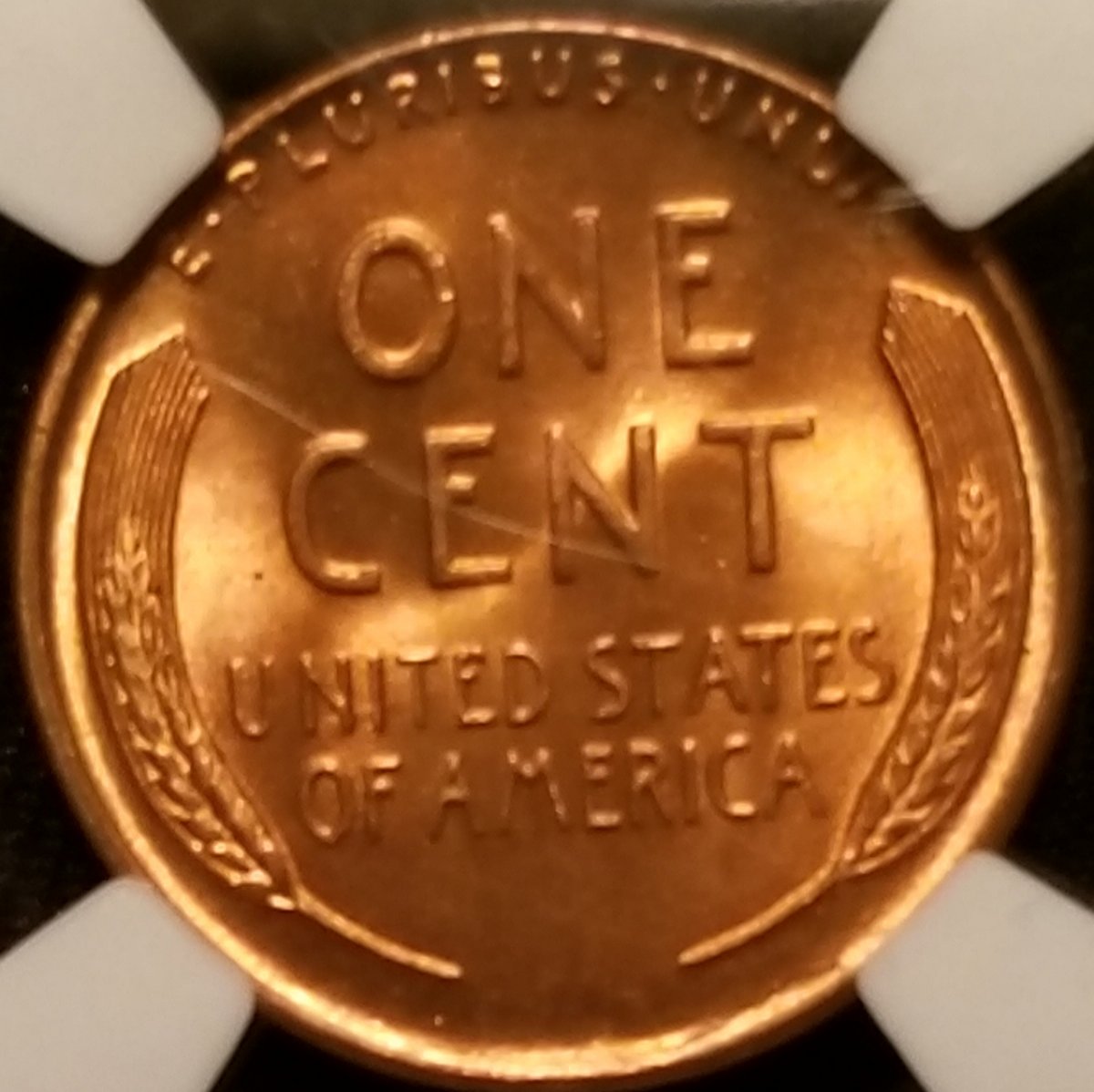 Continuing-List-To-Show-Everyones-Latest-Acquisitions