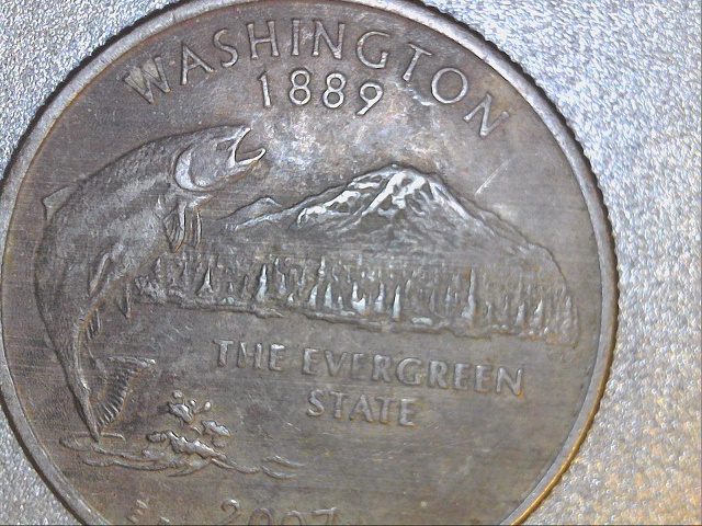 Washington-Quarter-Annealing-Error?