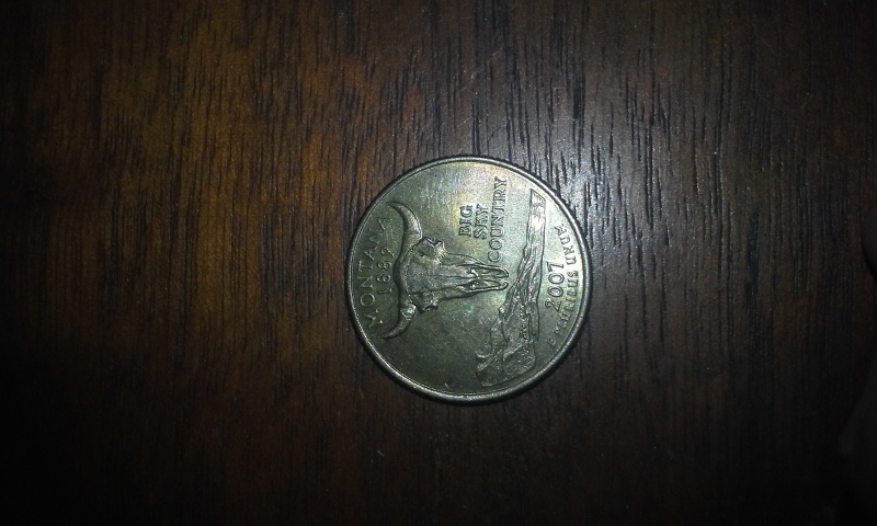 Montana-State-Quarter/Annealing-Error-?