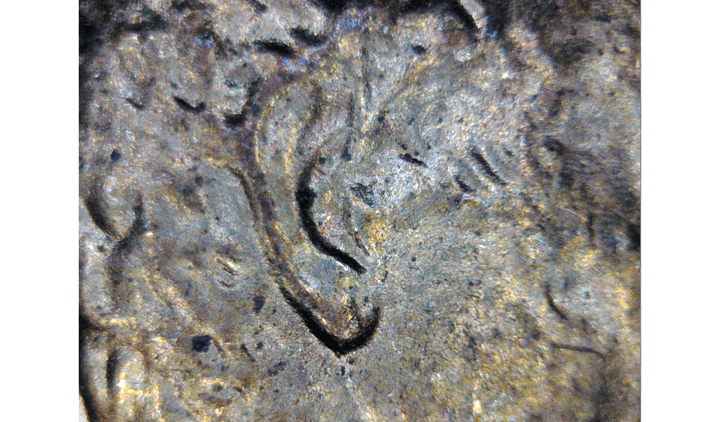 84-LMC-DDO-Unsure-On-Ear-Thanks-For-Opinions