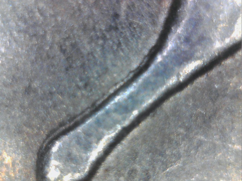 1999-Delaware-State-Qtr-DDR?