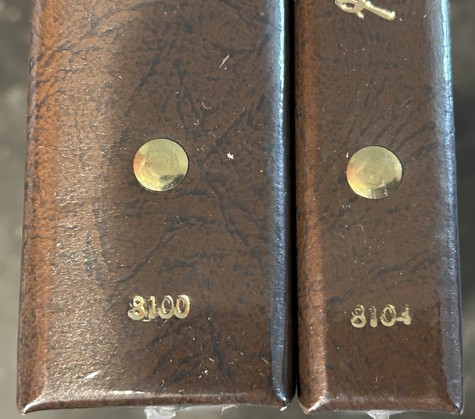 New-Dansco-8100-And-8104---Let-The-Fun-Begin