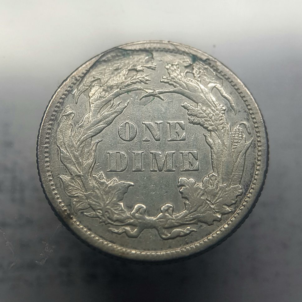 1876-Seated-Liberty-Dimes----Error-Or-Damege?