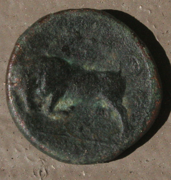 Need-Help-Identifying-Possible-Greek/Roman-Coins.