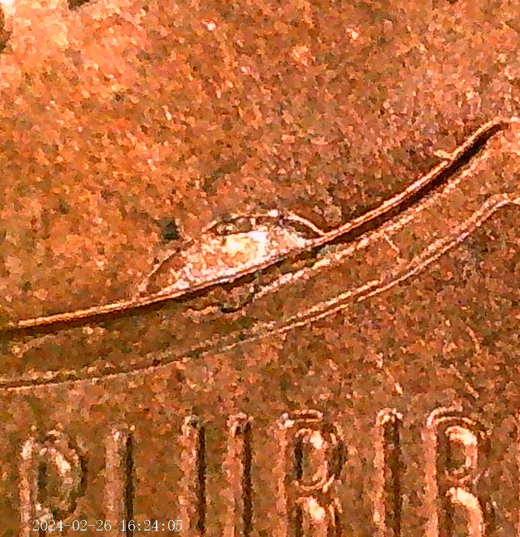 Are-Die-Chips/-Plating-Bubbles-Worth-Keeping-On-LSC?