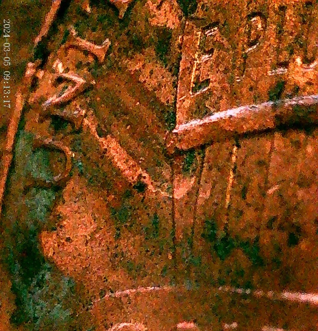 LSC-2021-With-Dented-Planchet?