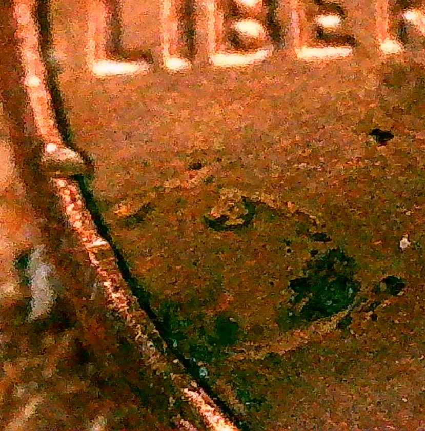 LSC-2021-With-Dented-Planchet?